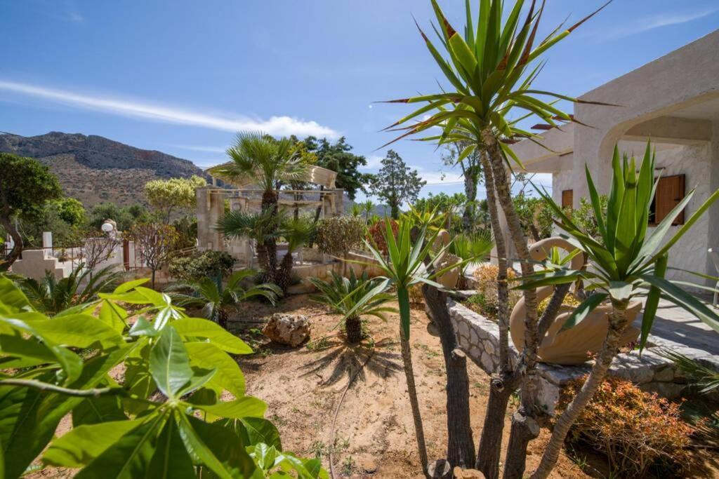 Villa Renas Secret Garden House La Canea Esterno foto