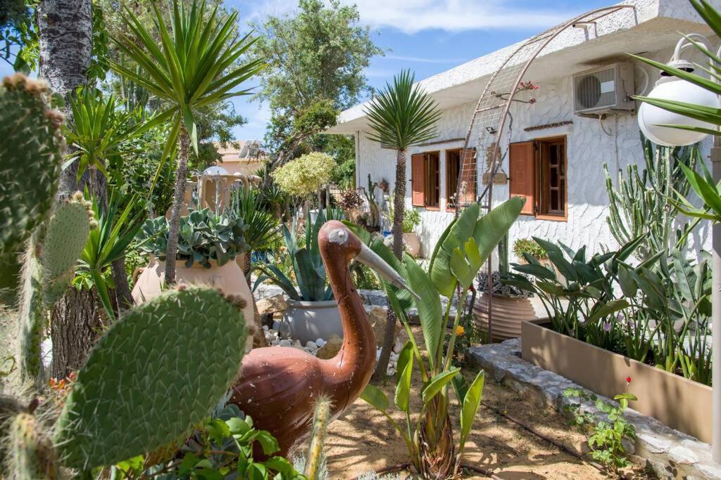 Villa Renas Secret Garden House La Canea Esterno foto